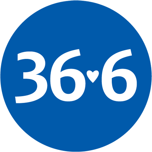 366.ru logo