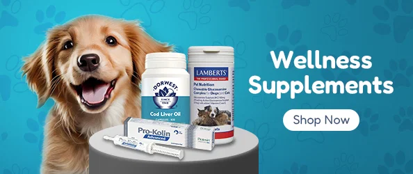BestVetCare online pet pharmacy storefront featuring flea and tick treatments, heartworm preventatives, and health supplies for dogs and cats.
