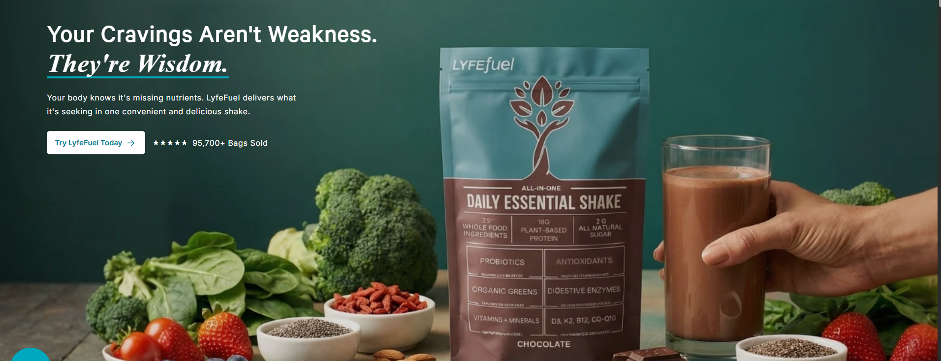 LyfeFuel Discount Codes and Plant-Based Nutrition Shakes Deals
